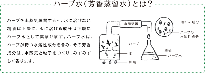 ハーブ水（芳香蒸留水）とは？