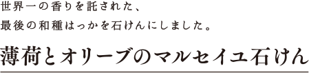 薄荷とオリーブのマルセイユ石けん 世界一の香りを託された、最後の和種はっかを石けんにしました。