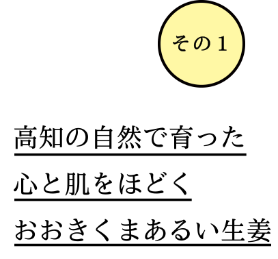 高知の自然で育った心と肌をほどくおおきくまあるい生姜