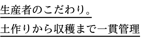 生産者のこだわり。土作りから収穫まで一貫管理